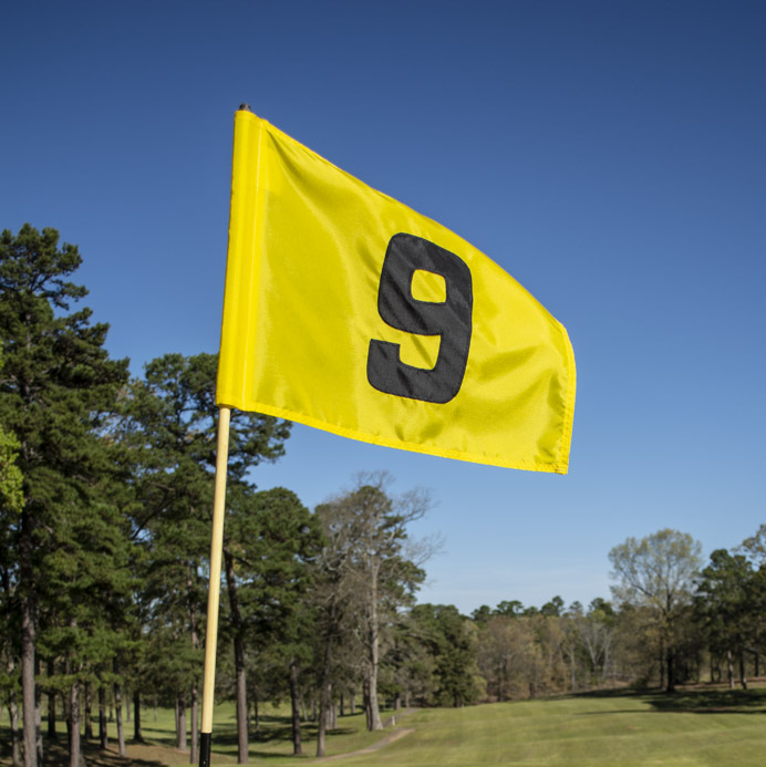flag 9